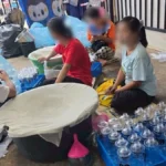 ตะลึง 4x100 สายพันธุ์ใหม่