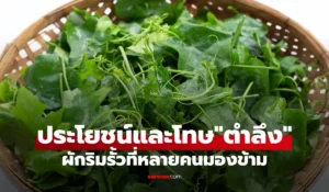 ประโยชน์และโทษของตำลึง
