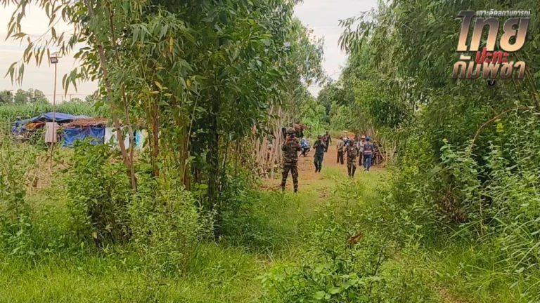 บ้านหนองจาน หนองหญ้าแก้ว