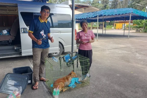 ป้าแดง หมาพิการชายแดน