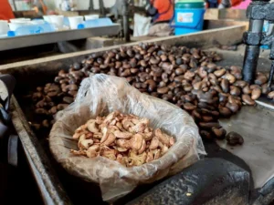 ผลิตภัณฑ์ชุมชน ลดใช้พลังงาน