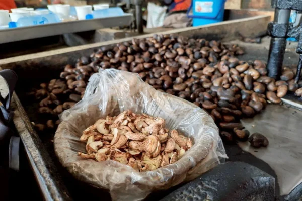 ผลิตภัณฑ์ชุมชน ลดใช้พลังงาน