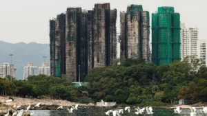 พบแล้ว 146 ศพ