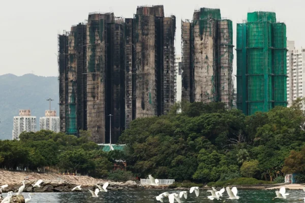 พบแล้ว 146 ศพ