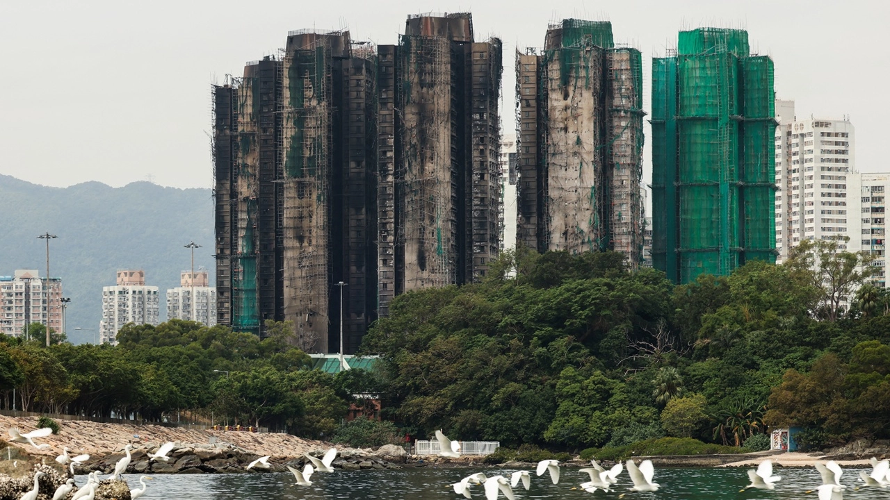 พบแล้ว 146 ศพ