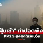 เช็กข่าวชัวร์ รุ่งเช้า