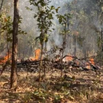 ด่วน เครื่องบิน AT-6 ตกบริเวณ อ.จอมทอง