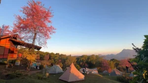 6-10 ม.ค. 69 มวลอากาศเย็น